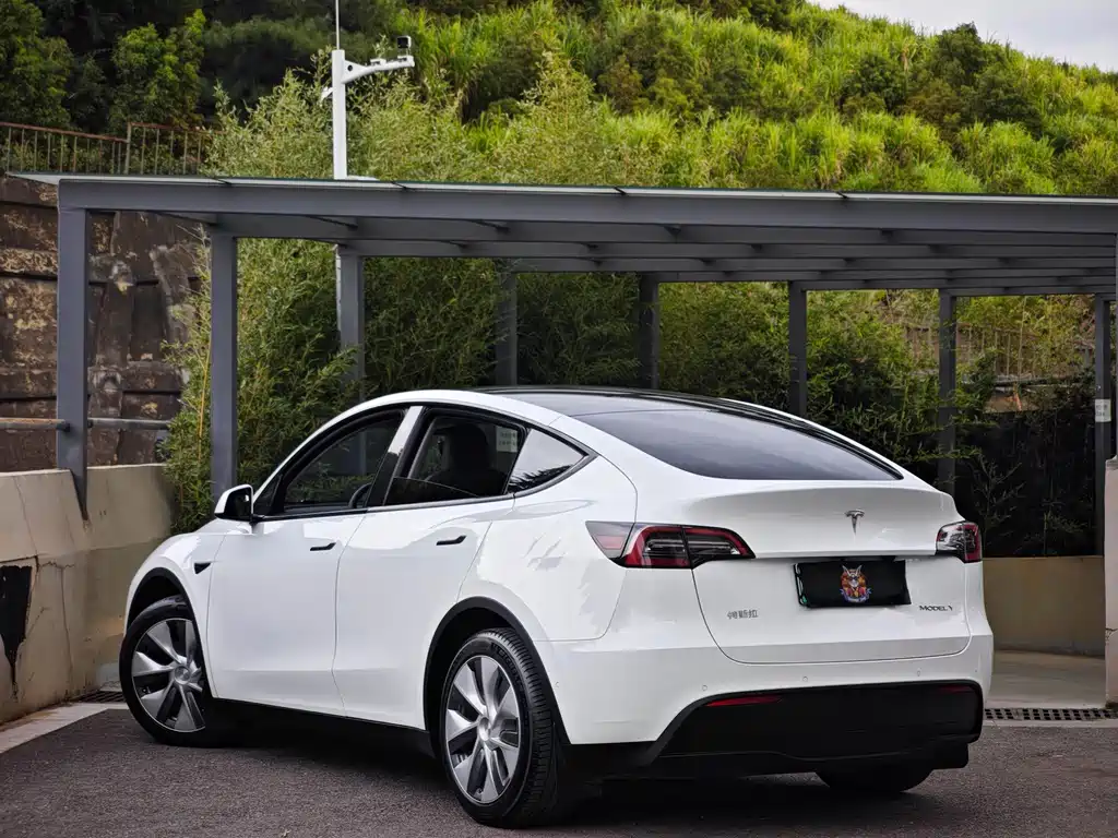Tesla Model Y — миниатюра 6