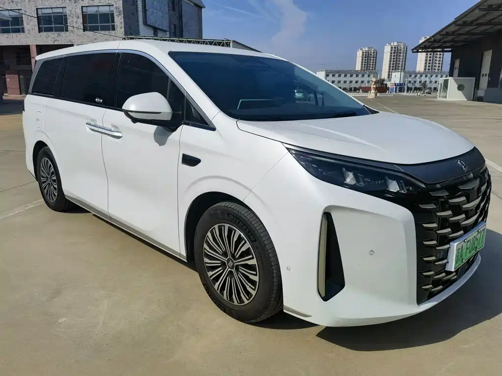 BYD Xia — миниатюра 2