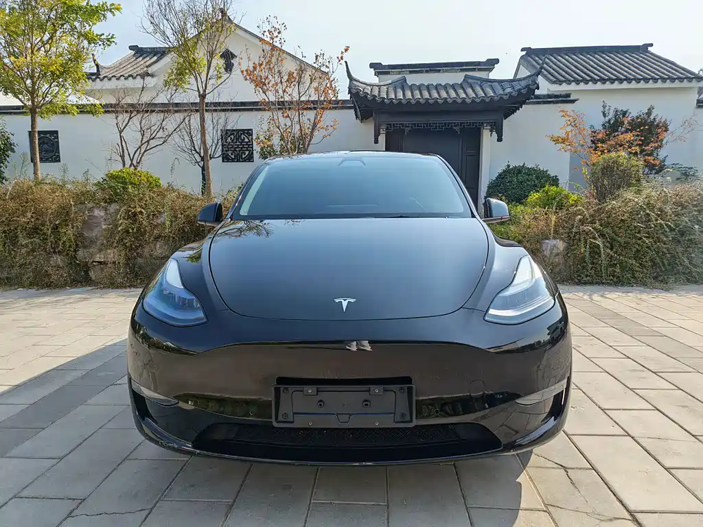 Tesla Model Y — миниатюра 2