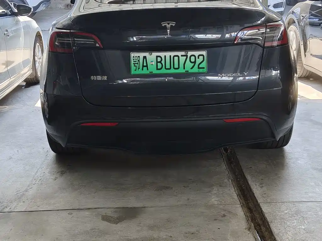 Tesla Model Y — миниатюра 6