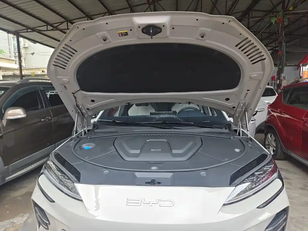 BYD PLUS New Energy — миниатюра 20