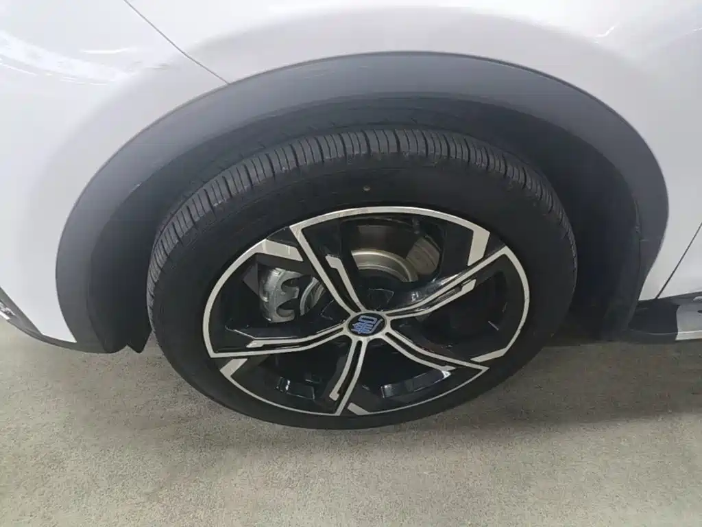 BYD Tang New Energy — миниатюра 23