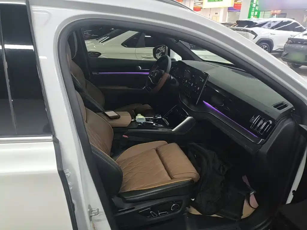 BYD Tang New Energy — миниатюра 25