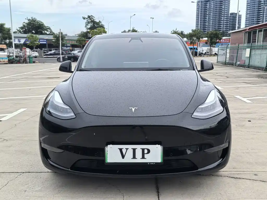 Tesla Model Y — миниатюра 3