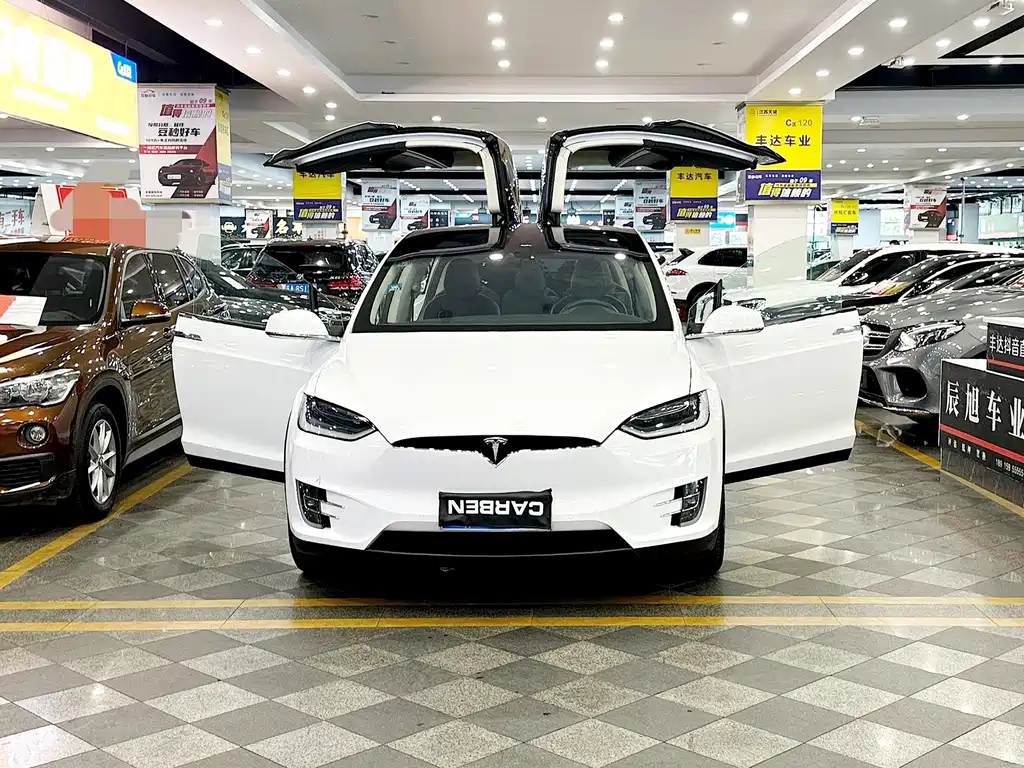 Tesla Model X — миниатюра 2