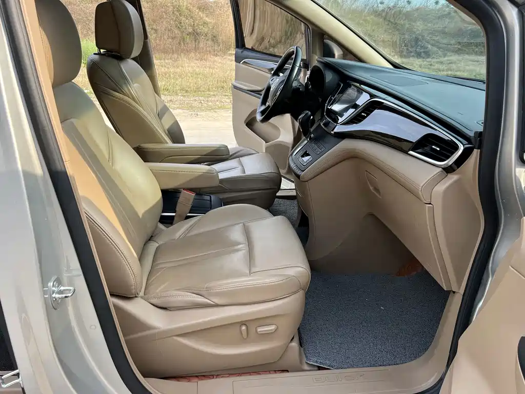 Buick GL8 — миниатюра 16