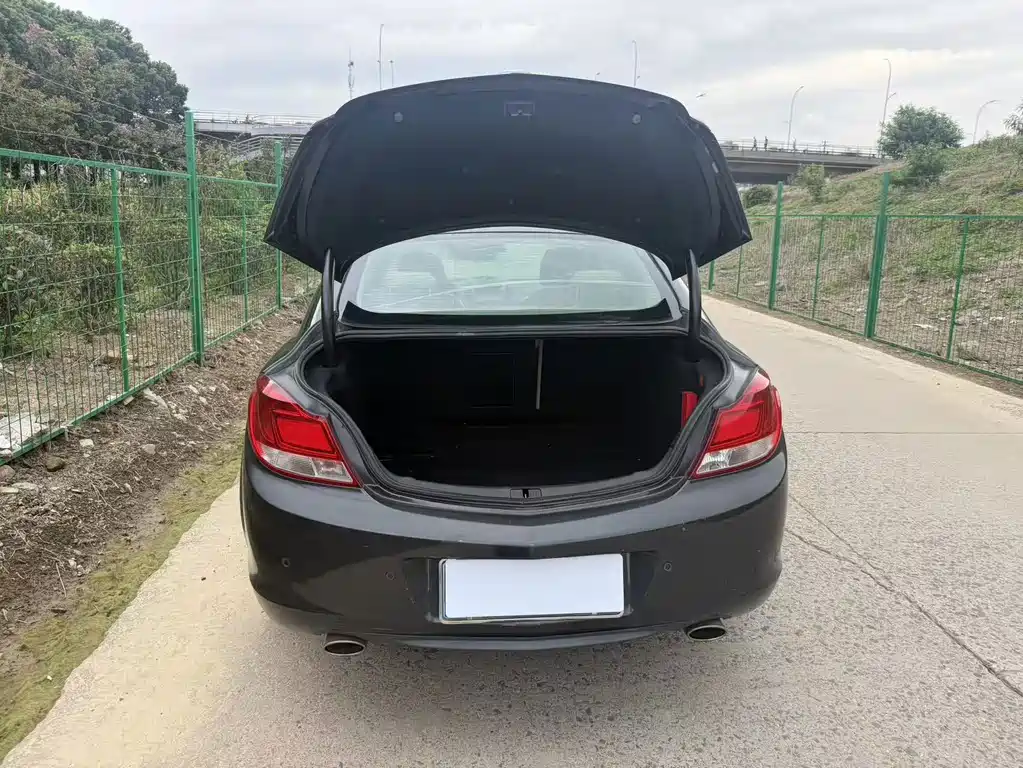 Buick Regal — миниатюра 15