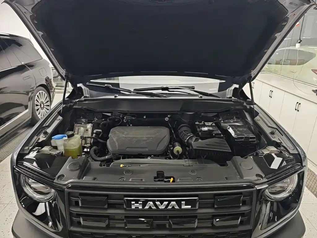 Haval Big Dog — миниатюра 20