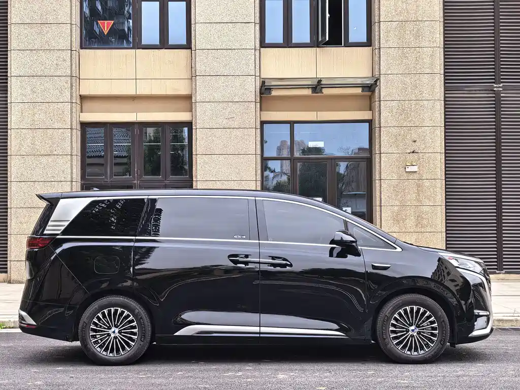 Denza Denza D9 — миниатюра 7
