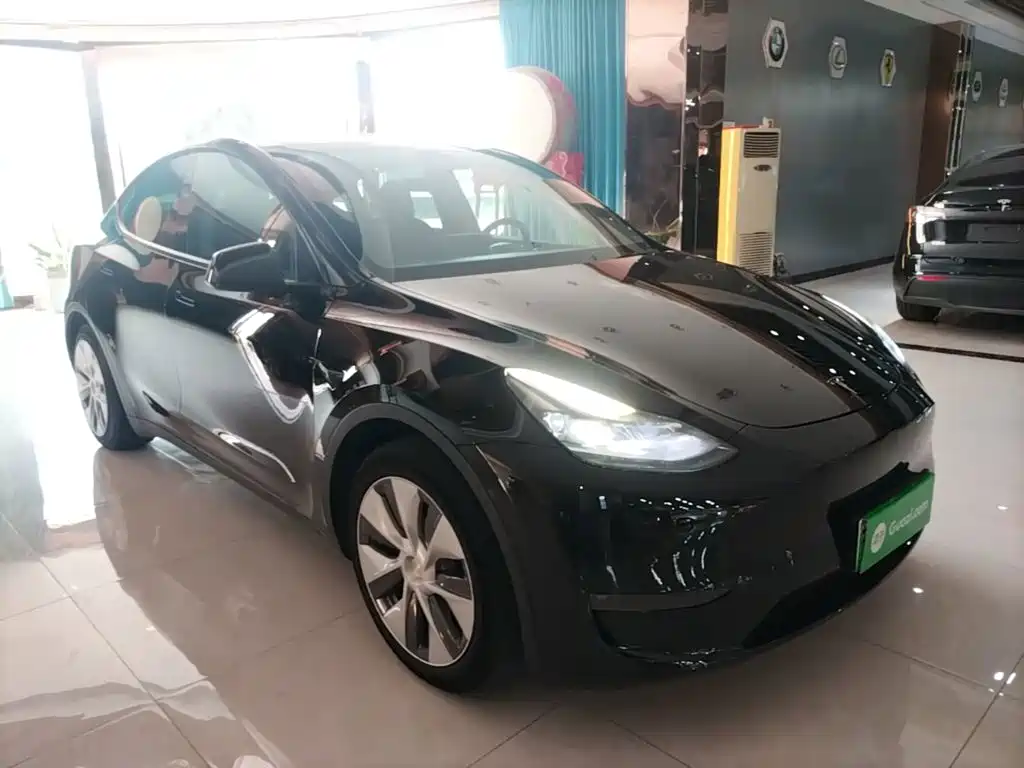 Tesla Model Y — миниатюра 4