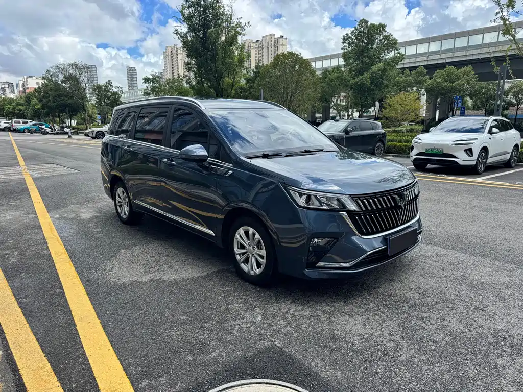 Wuling Jiachen — миниатюра 3