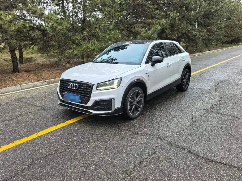 Audi Q2L 2021