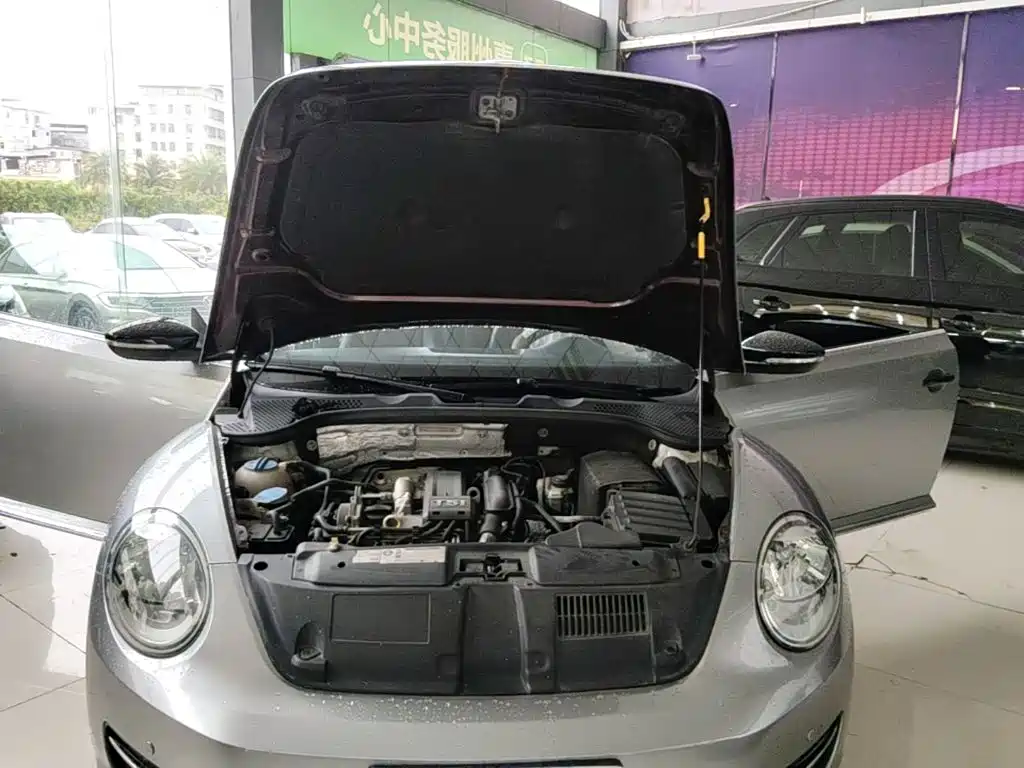 Volkswagen Beetle — миниатюра 23