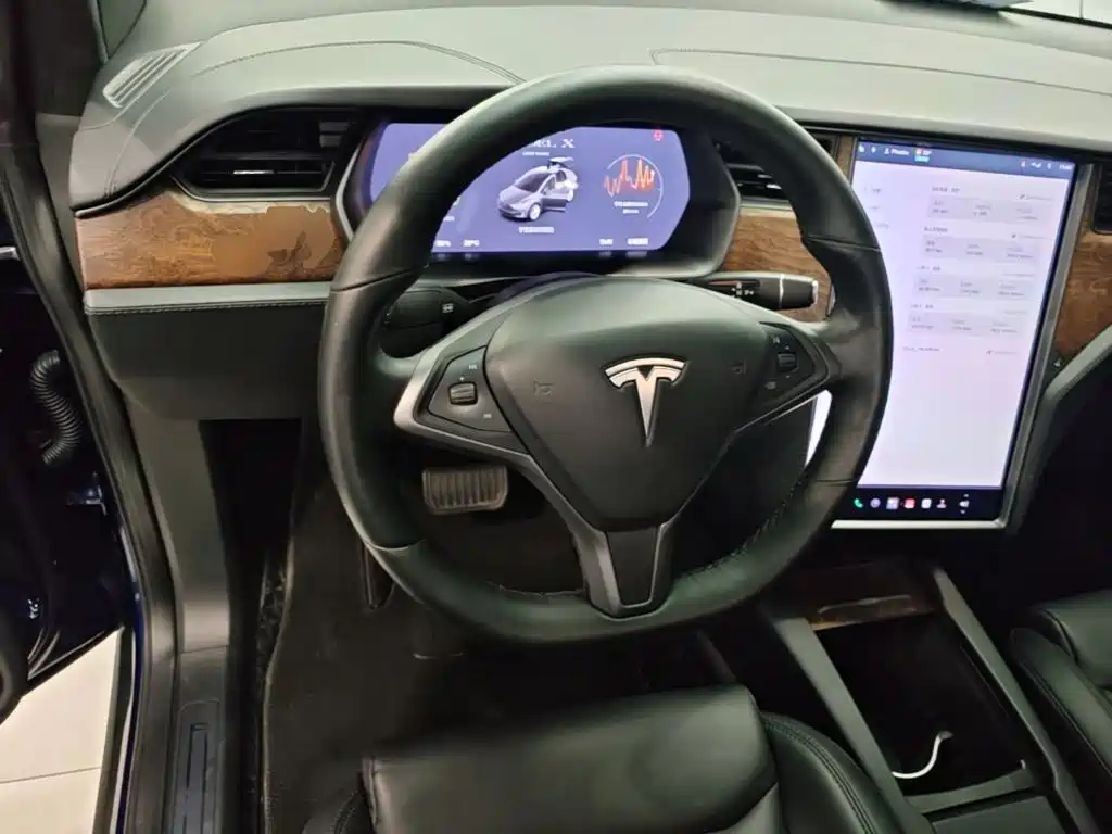 Tesla Model X — миниатюра 11