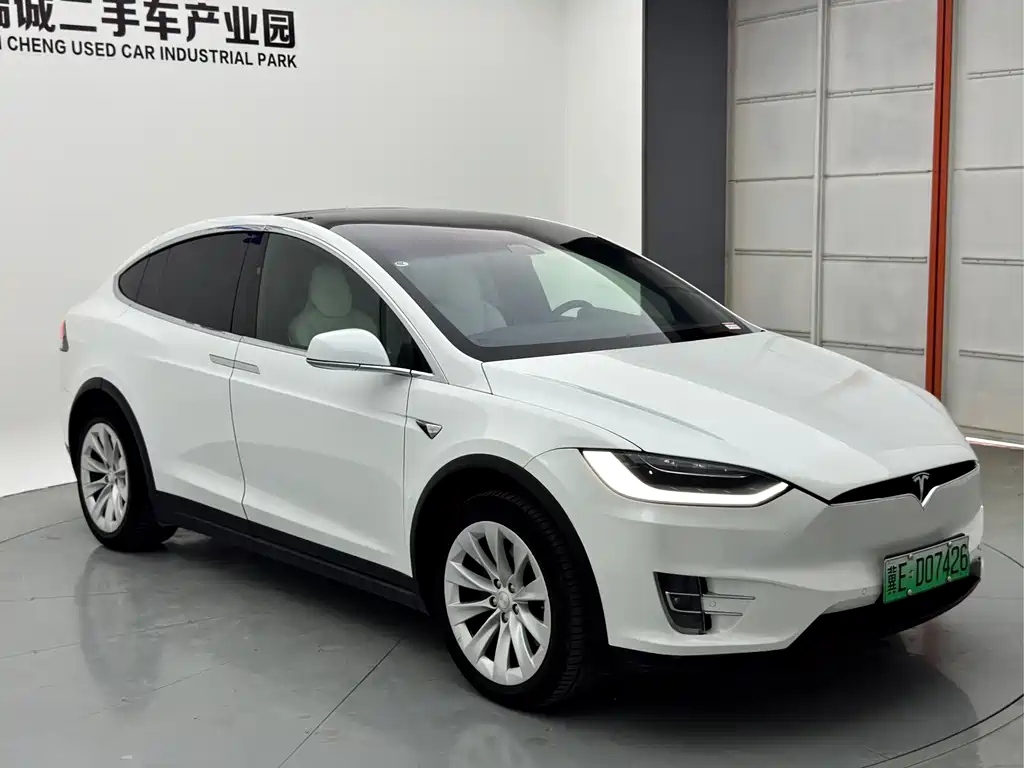 Tesla Model X — миниатюра 3