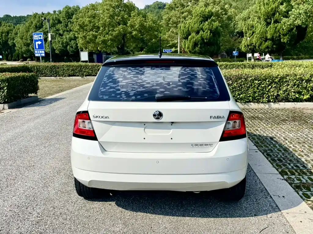 Skoda Fabia — миниатюра 11
