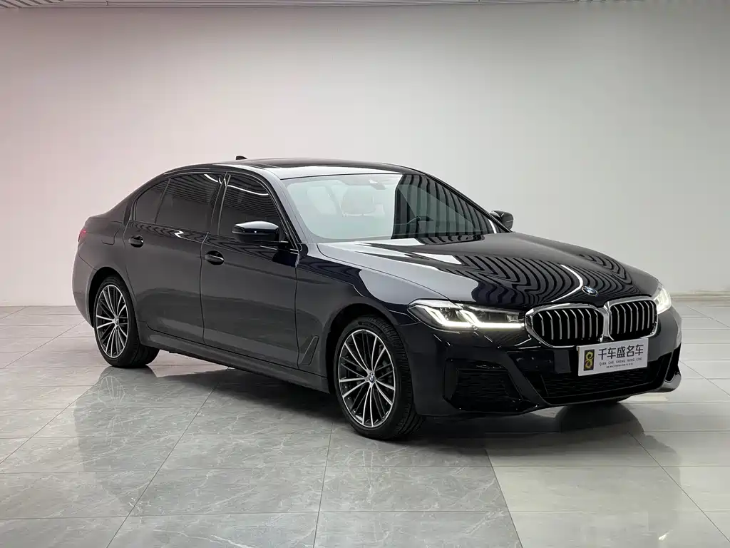 BMW 5 Series — миниатюра 3