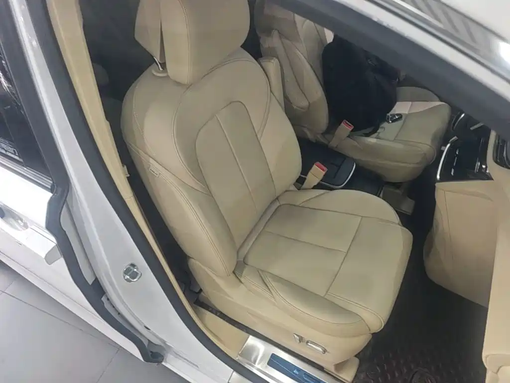 Buick GL8 — миниатюра 25