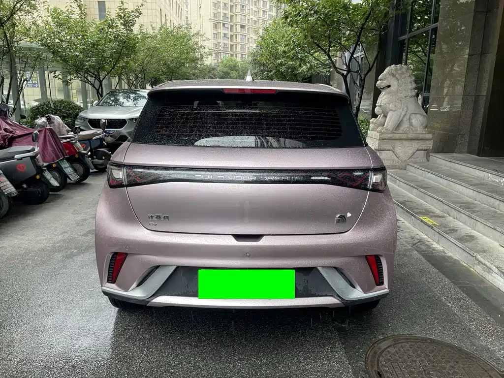 BYD Dolphin — миниатюра 11