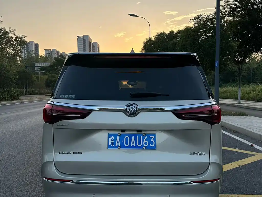 Buick GL8 — миниатюра 3