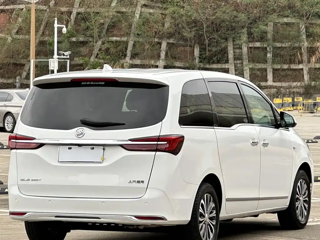 Buick GL8 — миниатюра 12