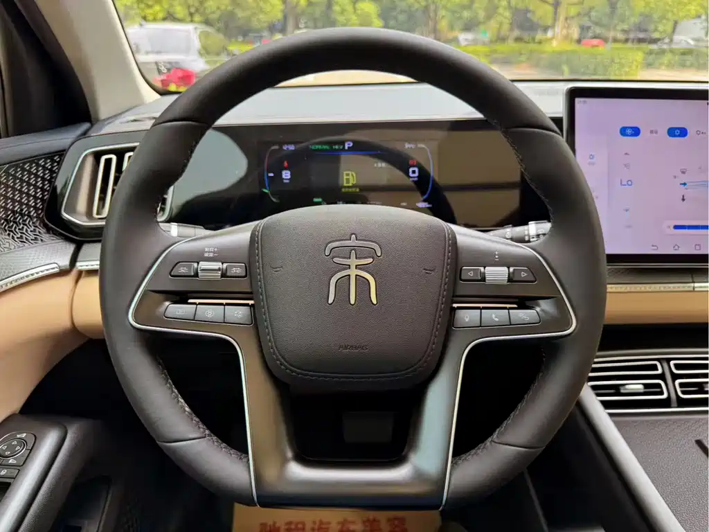 BYD Pro New Energy — миниатюра 13