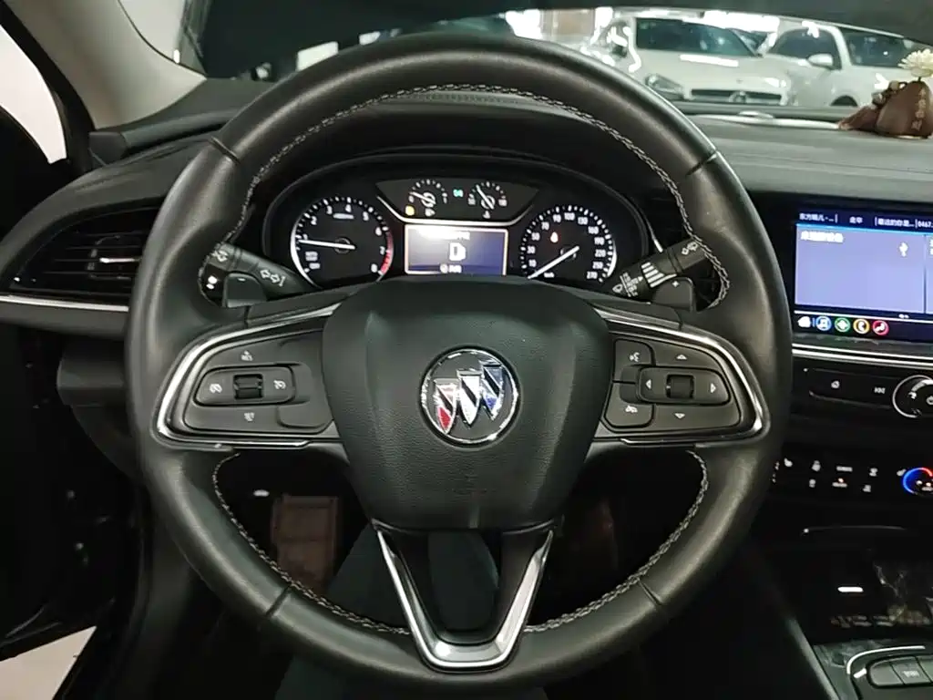 Buick Regal — миниатюра 11