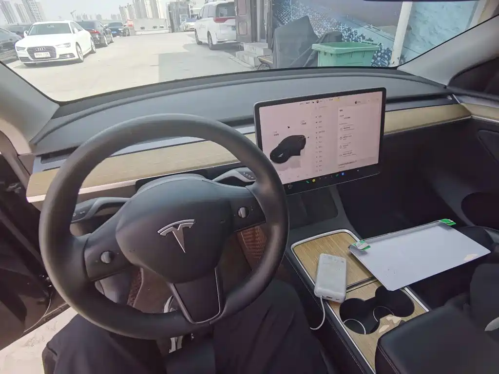 Tesla Model Y — миниатюра 10