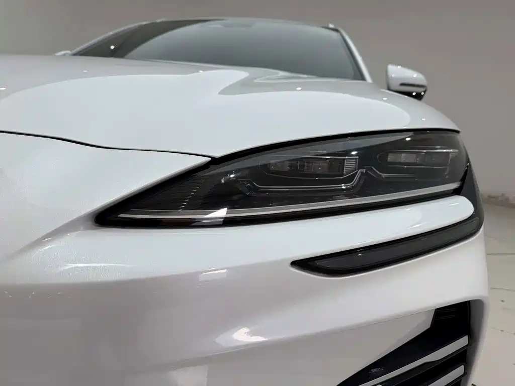 BYD PLUS New Energy — миниатюра 6