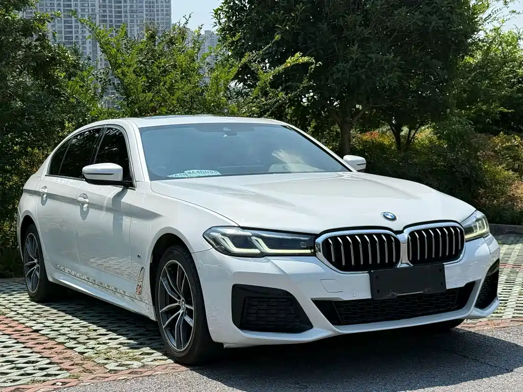 BMW 5 Series — миниатюра 3