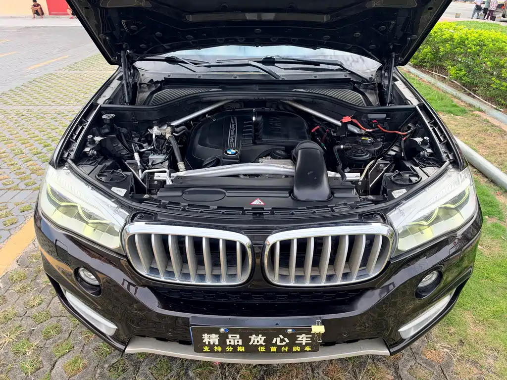 BMW X5 (Import) — миниатюра 10