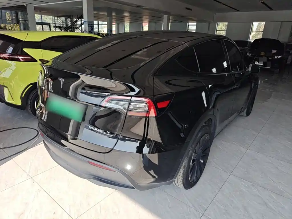 Tesla Model Y — миниатюра 7