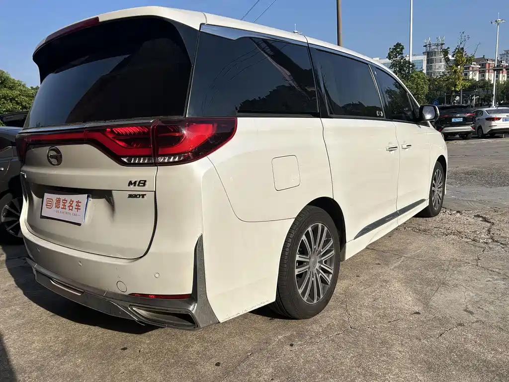 GAC Motor Trumpchi M8 — миниатюра 13