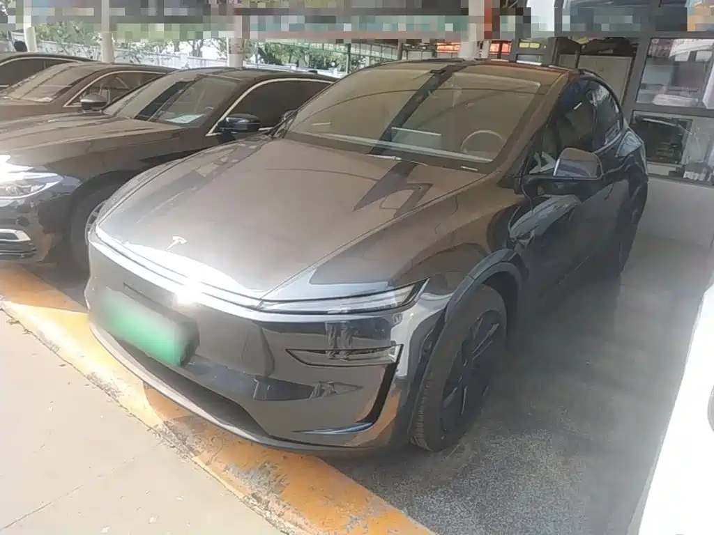Tesla Model Y — миниатюра 2