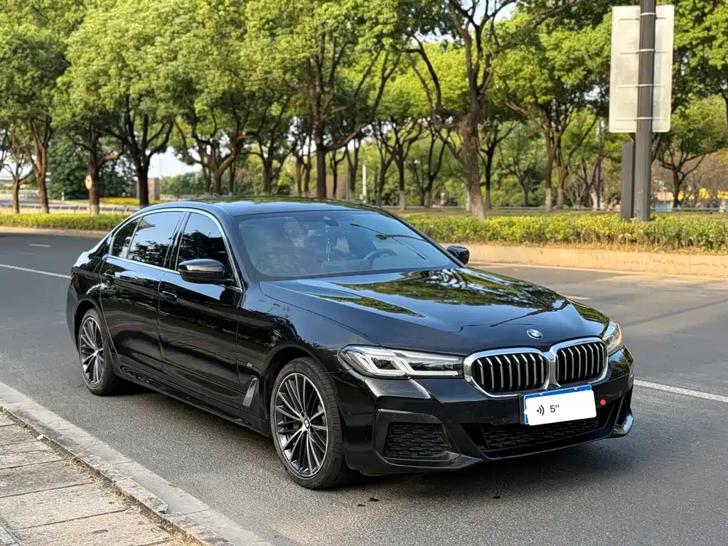 BMW 5 Series — миниатюра 2