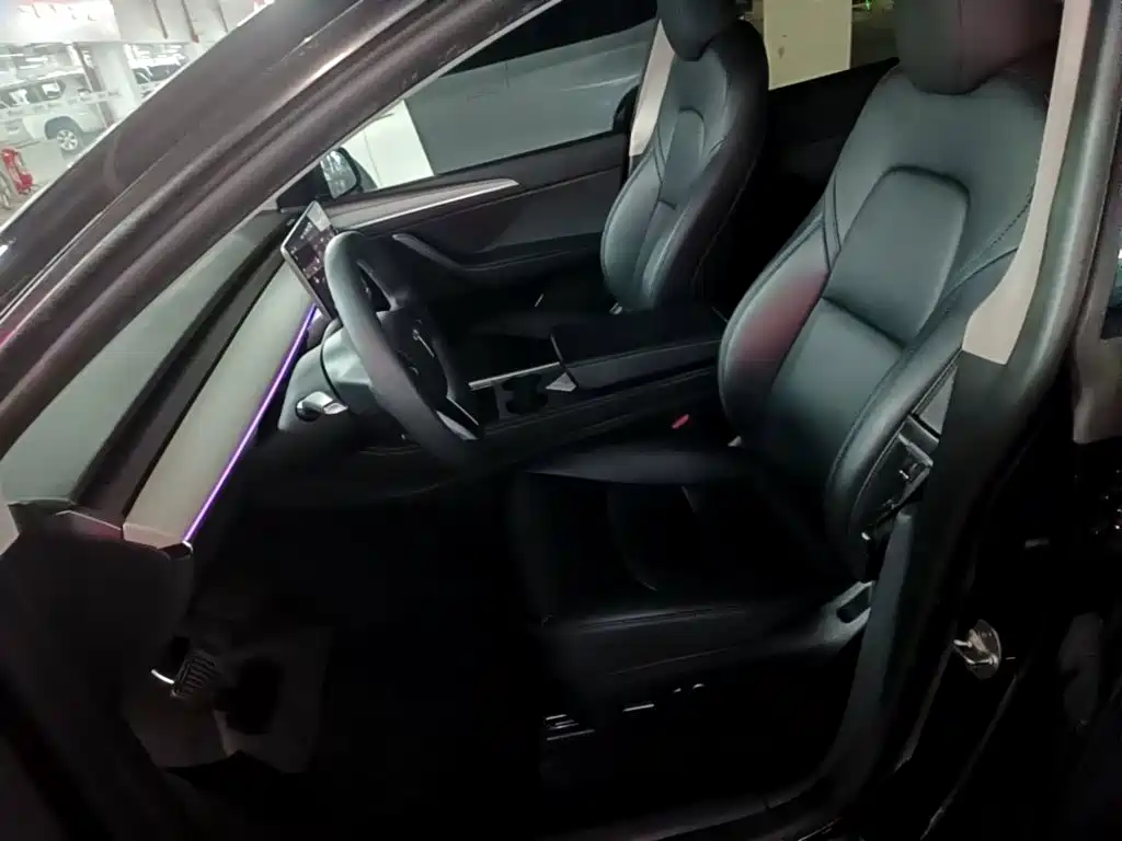 Tesla Model Y — миниатюра 15