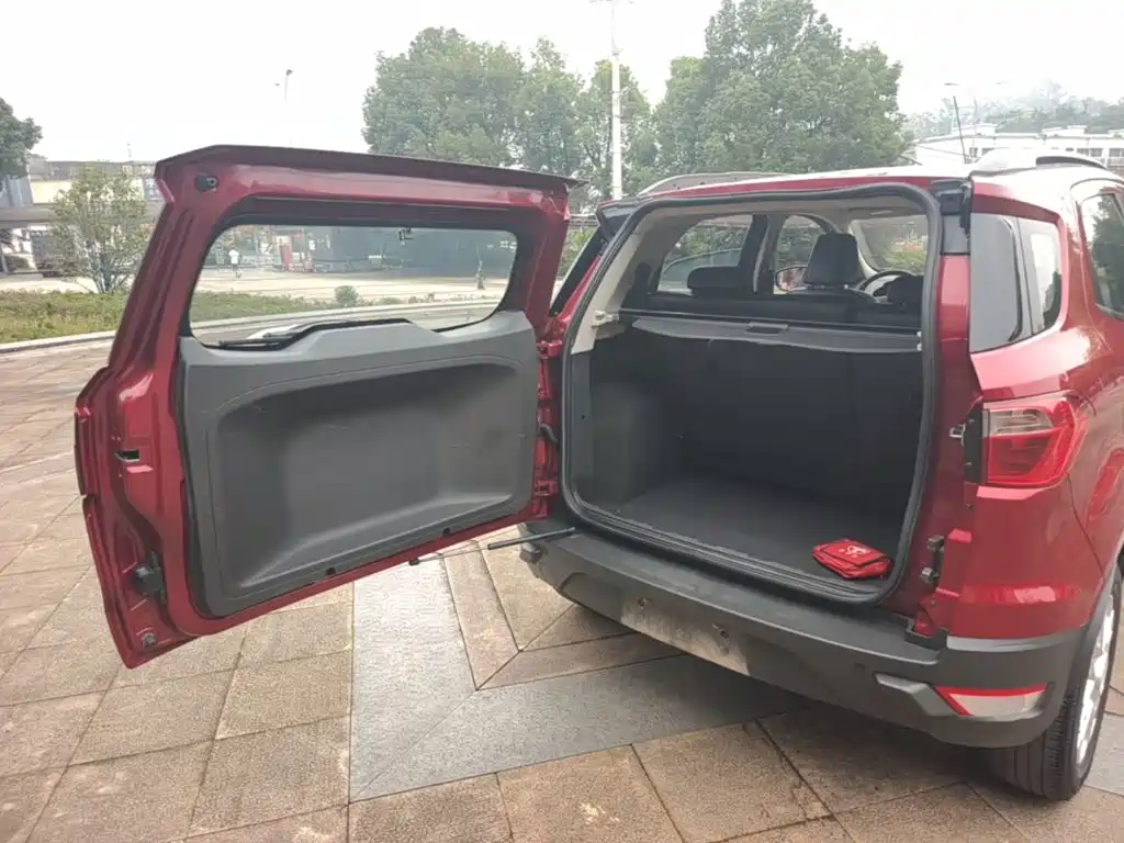 Ford Ecosport — миниатюра 19