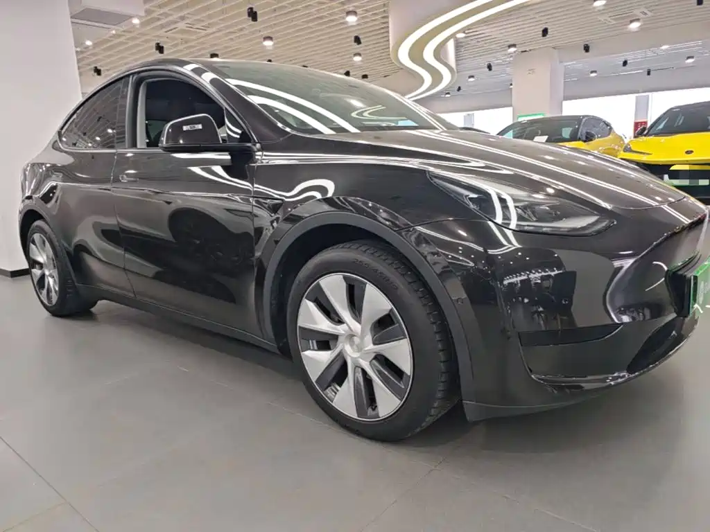 Tesla Model Y — миниатюра 4