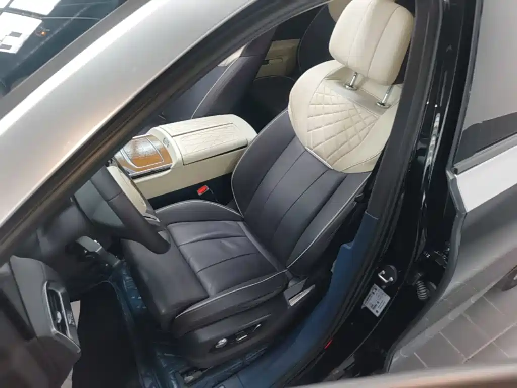 Hongqi Hongqi E-HS9 — миниатюра 15