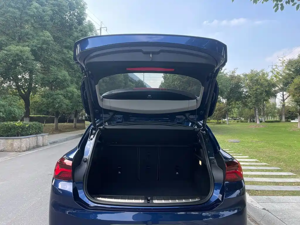 BMW X2 — миниатюра 12