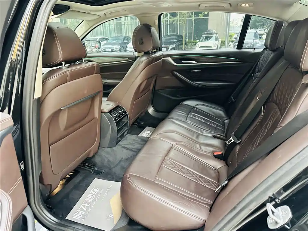 BMW 5 Series New Energy 530Le Luxury Package, фото 12