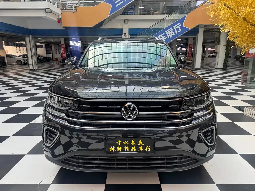 Volkswagen Tavendor — миниатюра 2