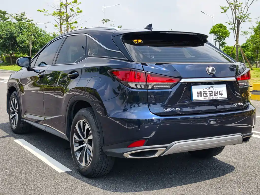 Lexus RX — миниатюра 6