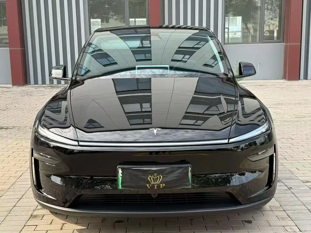 Tesla Model Y — миниатюра 3