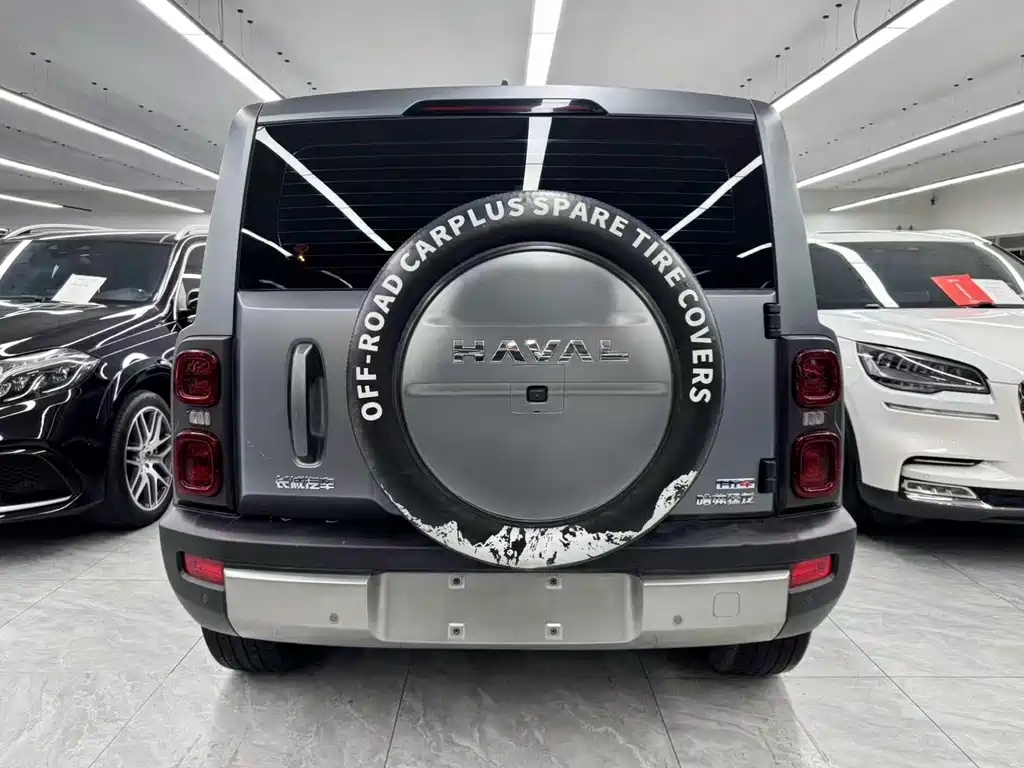 Haval Menglong New Energy — миниатюра 5