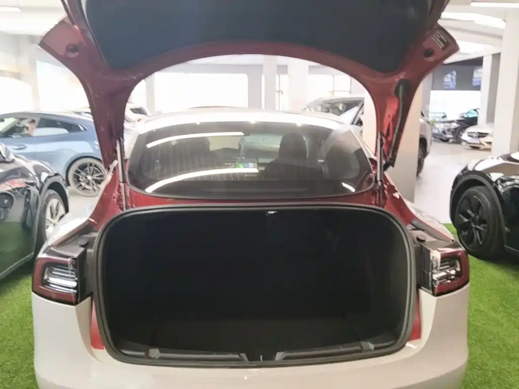 Tesla Model 3 — миниатюра 19