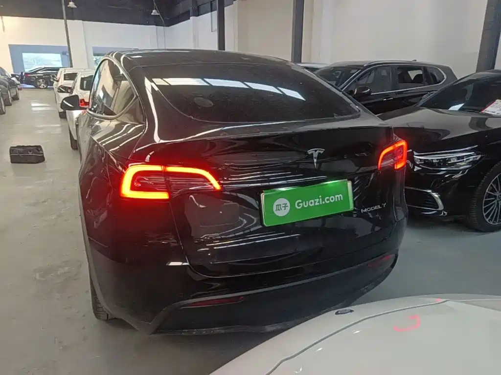 Tesla Model Y — миниатюра 6