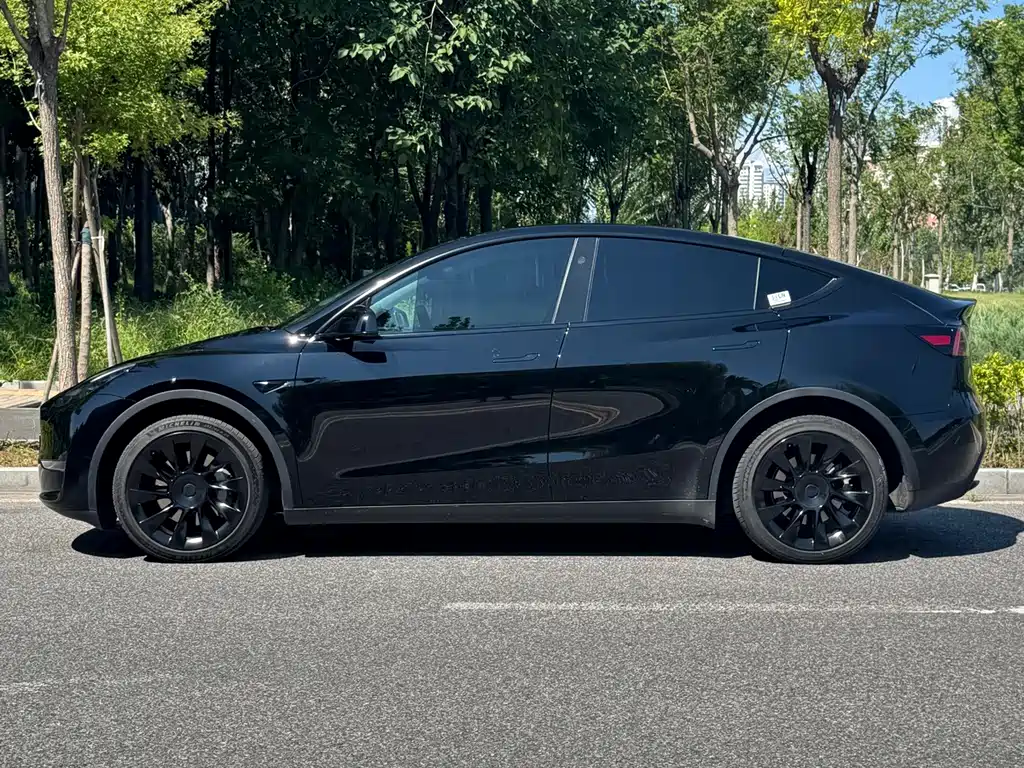 Tesla Model Y — миниатюра 3
