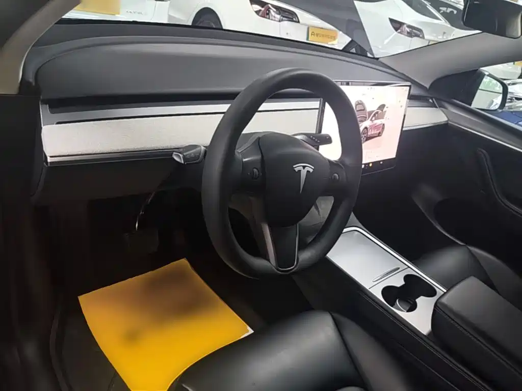 Tesla Model Y — миниатюра 10