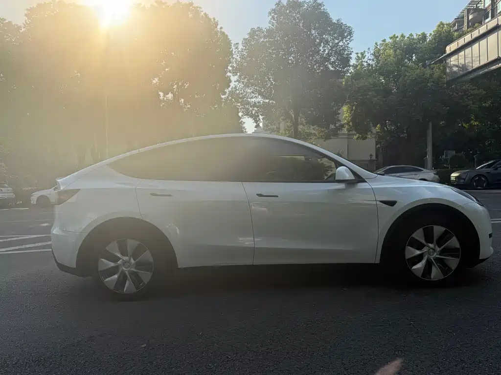 Tesla Model Y — миниатюра 20